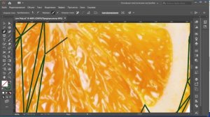 Триангуляция