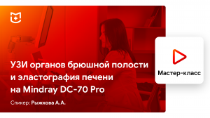 УЗИ органов брюшной полости и эластография печени на Mindray DC-70 Pro X-Insight