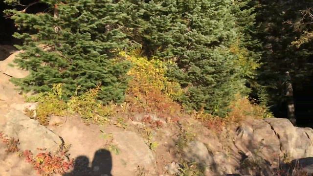 Rocky Mountain National Park - Hiking Around Bear Lake October смотреть онлайн