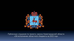 Публичные слушания по проекту закона Нижегородской обл. об исполнении областного бюджета за 2022 год