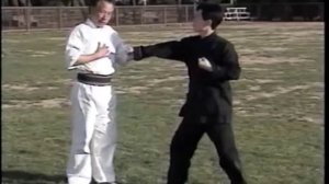 adam hsu chen tai chi chuan usage part I (1)