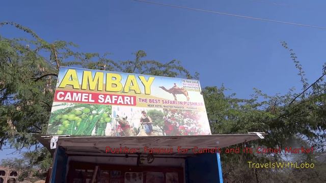 PUSHKAR - RAJASTHAN - INDA - Hotel Master Paradise - Walk to Lake Pushkar - Construction смотреть онлайн