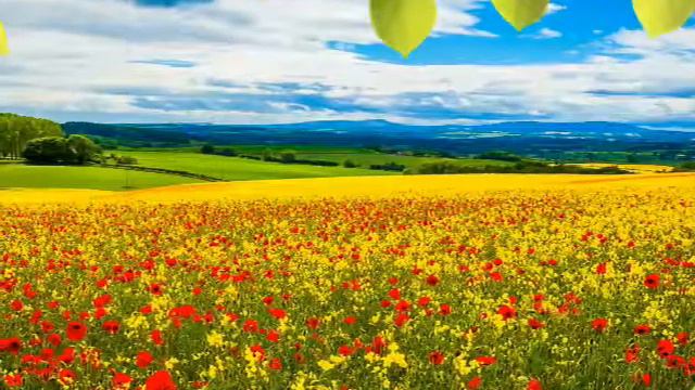 Там, на речке, где лесок Христианская песня смотреть онлайн