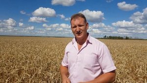 Андрей Милюткин на озимой пшенице Скипетр