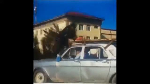 Uzbek GTA 5 Юмор Mover uz смотреть онлайн