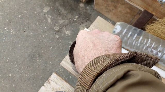 Посев Гинкго билоба смотреть онлайн