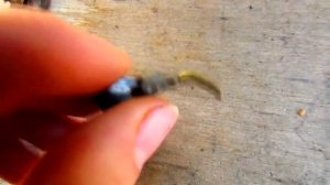 Карбюратор К133. Недостатки ускорительного насоса.