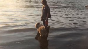 Лето Шито, Крыто и Корыто