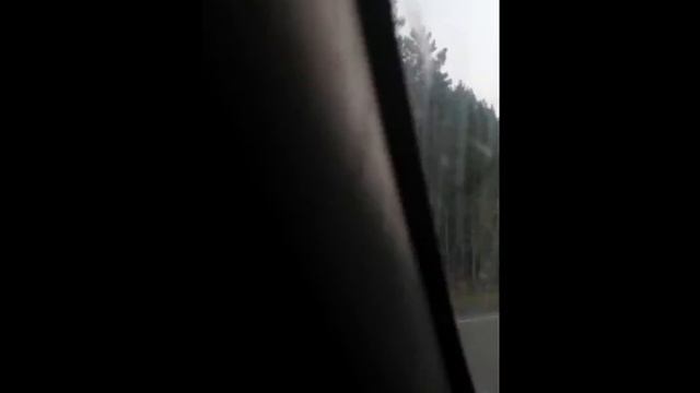 VLOG: Едем в Курлек) смотреть онлайн