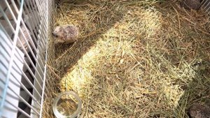 Завтрак в отеле «Navruz Hotel Tashkent», мы в шоке! День Рождения/ Ташкентский зоопарк/