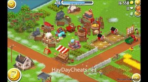 Hay Day Pillow - How To