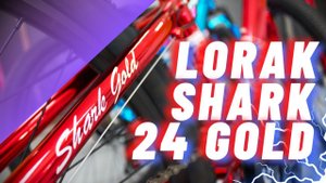 Обзор велосипеда Lorak Shark 24 Gold