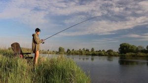 ЗАБРАЛИСЬ В САМУЮ ГЛУШЬ! На реке Припять С НОЧЁВКОЙ! #444