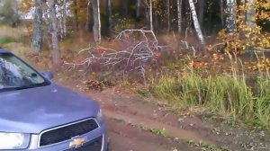 Шевроле Каптива - Chevrolet Captiva, как внедорожник.