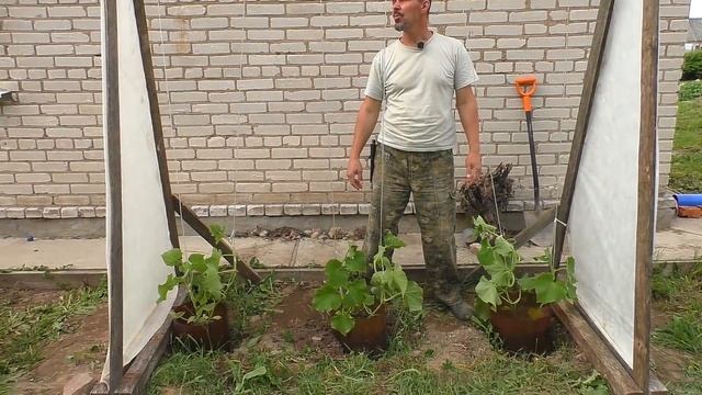 Простая шпалера для огурцов своими руками // Благоустройство территории смотреть онлайн