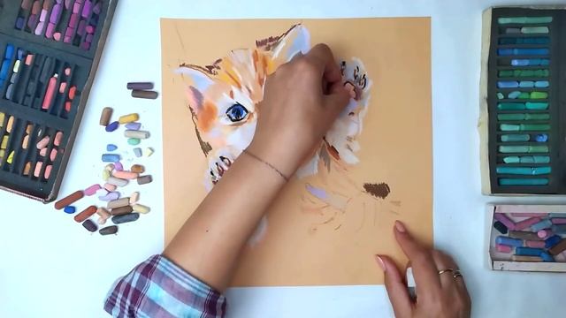 Как нарисовать кошку? КОТЫ, ОНИ ТАКИЕ КОТЫ | Рисунок пастелью №8 смотреть онлайн