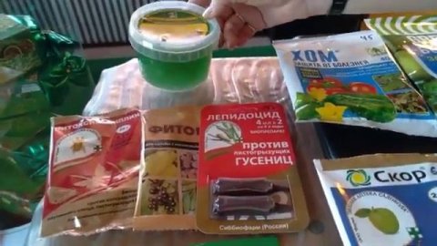 Весенняя обработка сада от болезней и вредителей.