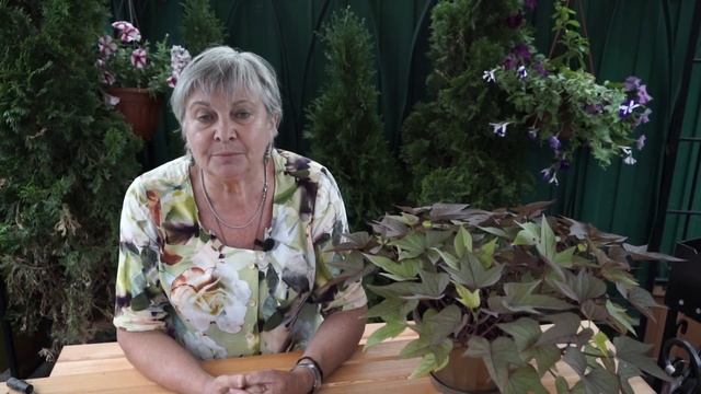 СРОЧНО!!! Монстры в огороде , которых Нельзя Убивать ✔️ Кто ест Тлю смотреть онлайн