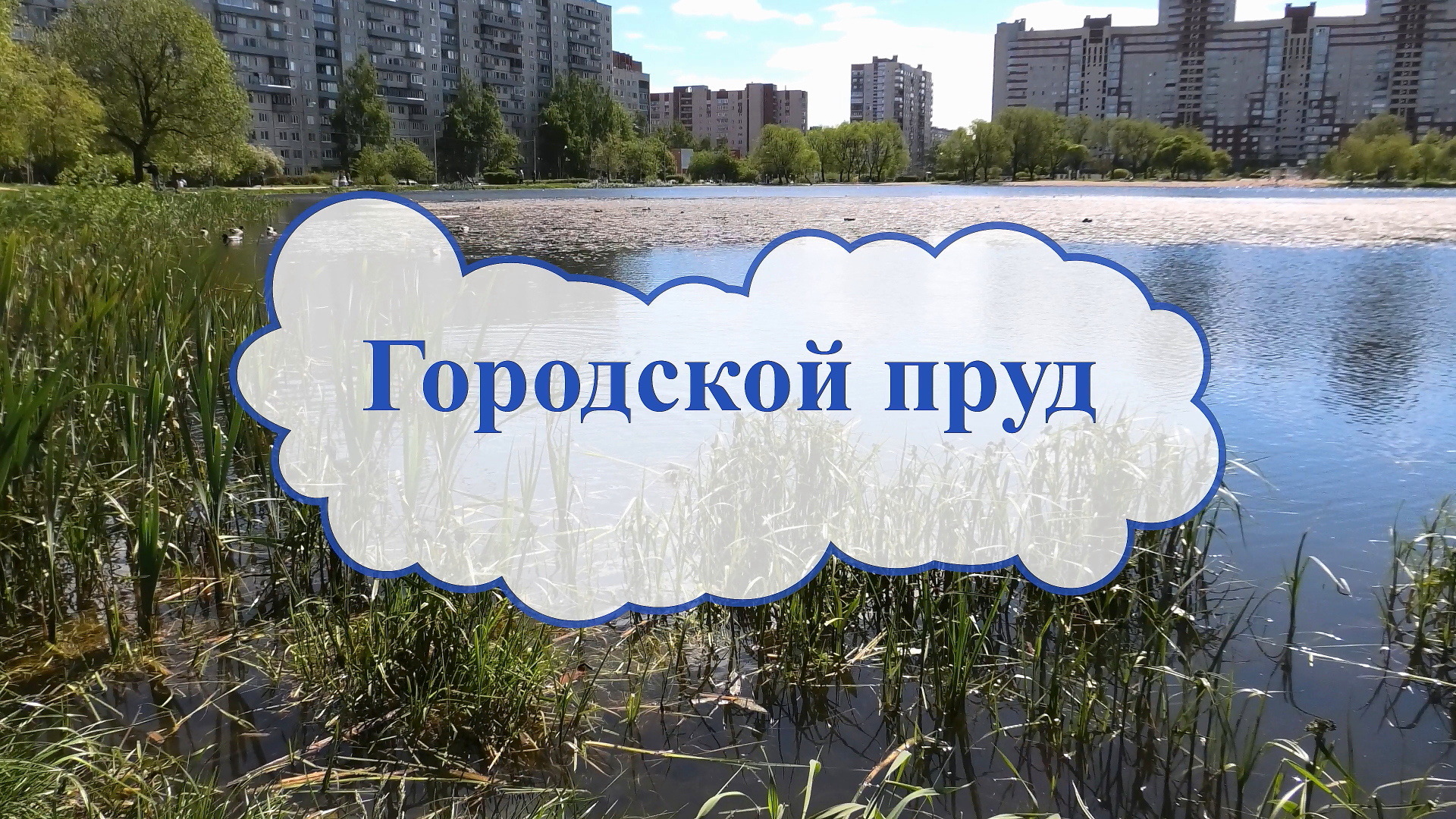 Городской пруд