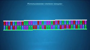 CTRL+V для ДНК: рестрикция и лигирование. Курс "ГМО: технологии создания и применение"
