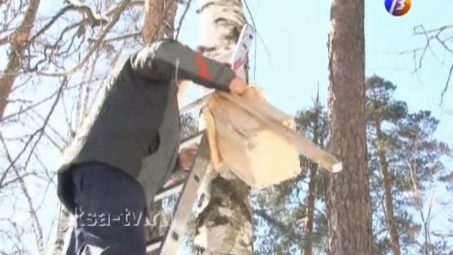«Весенний скворечник»