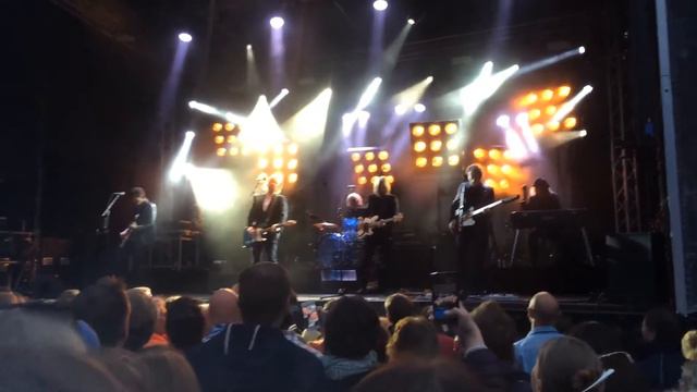 Lars Winnerbäck  Sällsynt exemplar Over Oslo 2015