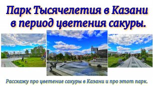 Парк Тысячелетия в Казани в период цветения сакуры. Расскажу про цветение сакуры и про этот парк.