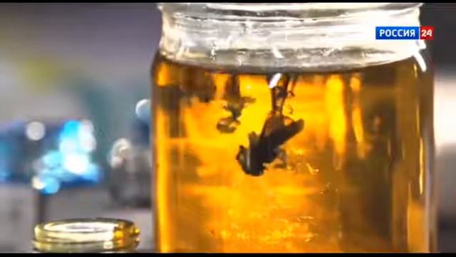 Александр Проханов - Ясный сокол и черный ворон смотреть онлайн