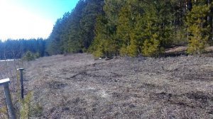 50 ЛЕТ ПЕРВЫЙ РАЗ НА ПИТБАЙКЕ КАЙО 125