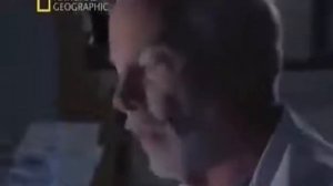 как зародилась жизнь на планете Земля