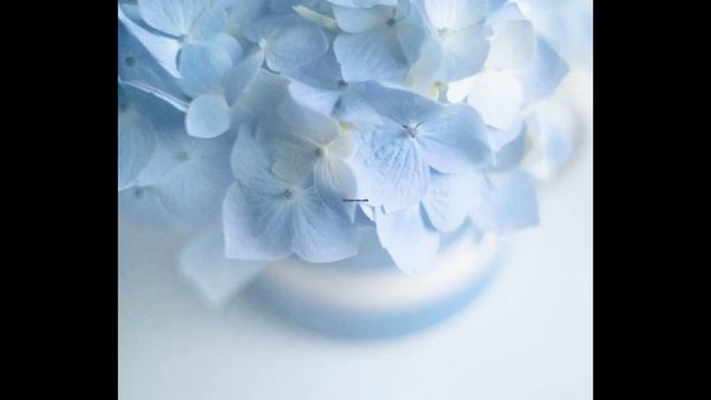 [~Идеи причёсок~] [~Гача клуб/гача лайф~] [~Blue Lera~] смотреть онлайн