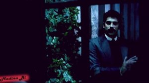 Королёк – птичка певчая / Çalikusu  Фариде и Кямран  ( Burak Özçivit , Фахрийе Эвджен) клип