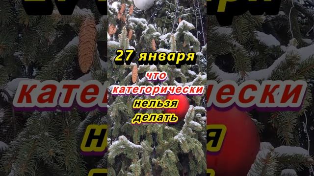 27 января народный праздник Нина – обряды скотины. Что категорически нельзя делать. Народные примет