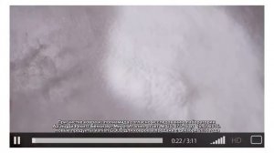 Ваниш голд для ковров и собака Ума