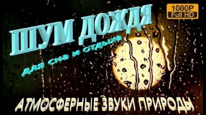 Мягкий шум дождя для отдыха сна и медитации | АТМОСФЕРНЫЕ ЗВУКИ ПРИРОДЫ 99.9% мгновенно засыпают