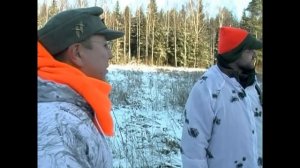 Охота на кабана и косулю. Загонная охота в Беларуси, часть-3.