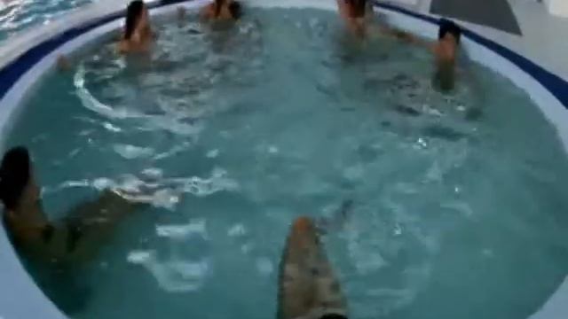 Елена Архипова 2 песни" К солнцу", "в Актау" смотреть онлайн