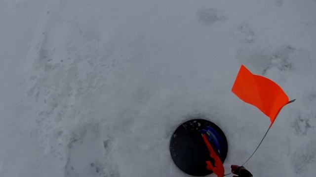 Хмелевка  Я поймал свою крокодилу смотреть онлайн