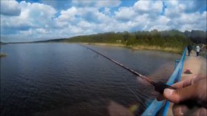 Сезон открыт 11.06.2017г. Спиннинг на р. Иж | Deaf fisherman