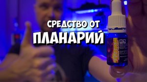 Средство от планарий в морском аквариуме