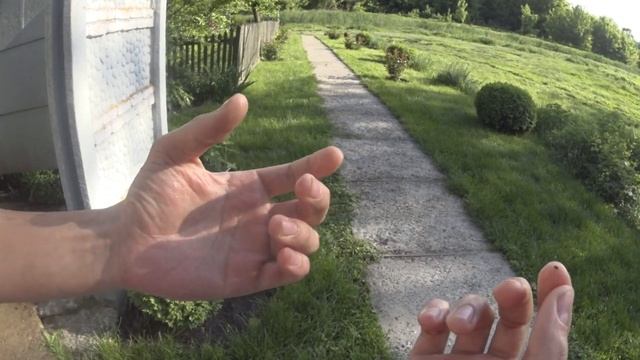 Лайфхак! Хлопушка из Листьев! Отличное развлечени смотреть онлайн