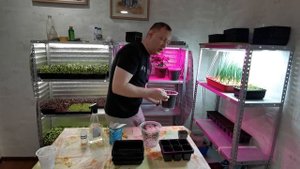 В ЧЕМ ВЫРАСТИТЬ МИКРОЗЕЛЕНЬ В ДОМАШНИХ УСЛОВИЯХ