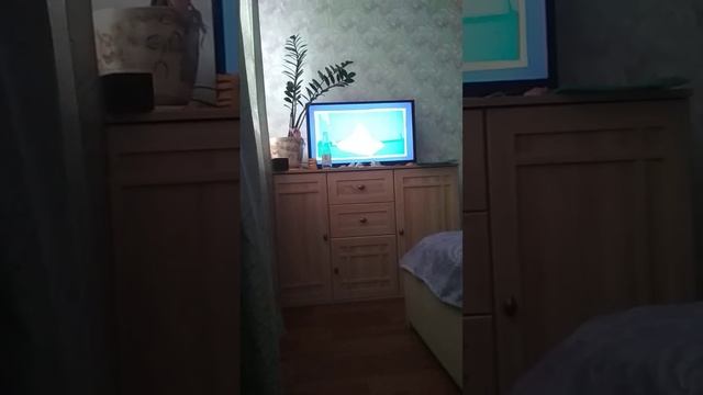 Простоквашино фотоаппарат,новые серии,смешные моменты смотреть онлайн