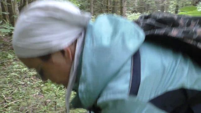 Белый гриб еловый,Калужская область. смотреть онлайн