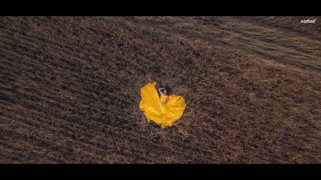 Прохор Шаляпин - Платье (муз. А Морозов, сл. Н.Зиновьев) смотреть онлайн