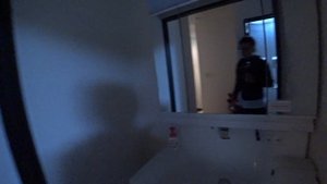 В Японию своим ходом | Как самостоятельно получить визу | Аренда жилья и синкансэны