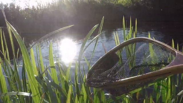 Как поймать голавля на малой реке. Простейшая уловистая снасть "голавль-мах".