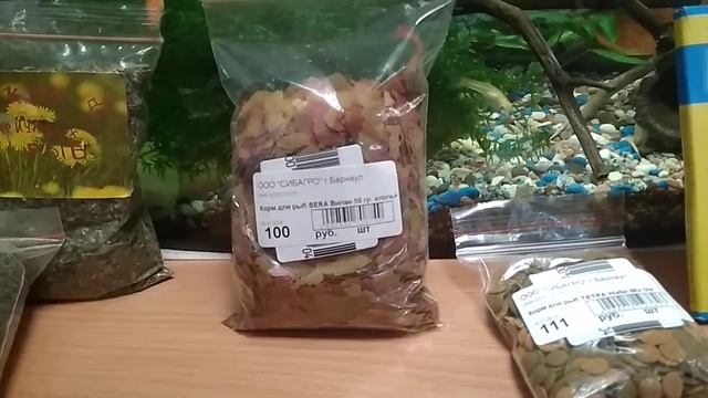 Корм для аквариумных рыб. Чем я кормлю своих аквариумных рыбок и улиток. смотреть онлайн