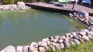 НЕДЕЛЯ после установки УФ ЛАМПЫ в пруд