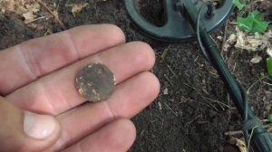 21 Поиск монет в лесу (август 2016).mp4